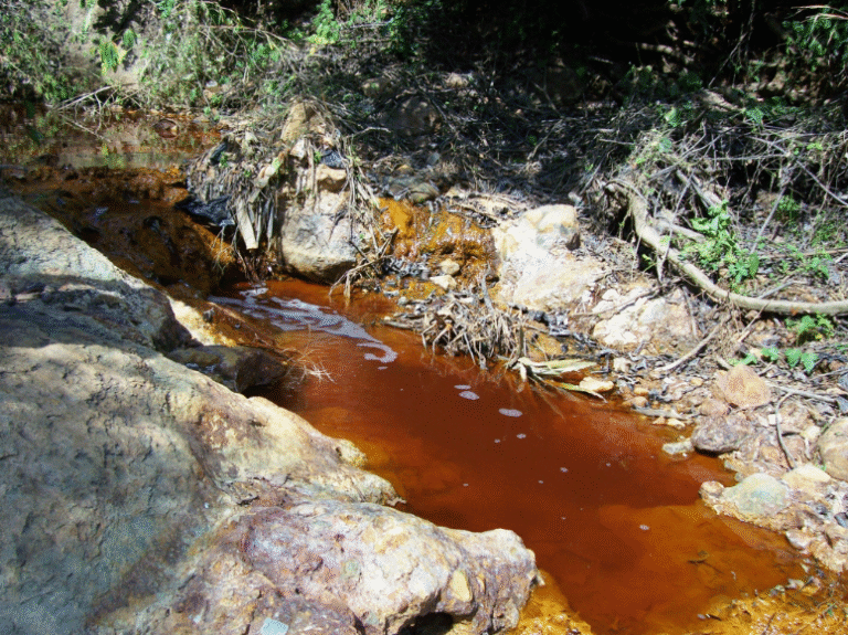 Metales en el Agua: La amenaza silenciosa